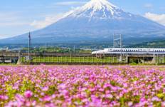 Circuit 7 jours - Best of Japan Cherry Blossom Tour 2026 | Expérience Sakura en petit groupe