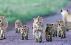 Circuit Du Cap au Caire 2026 - 39 jours