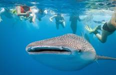 Circuit 9 jours - Circuit panoramique de Palawan en petit groupe (max. 8)