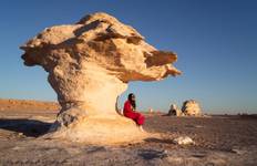 6 Days Cairo and Bahariya Oasis and White Desert Tour