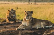 4-Day Mid-Range Luxury Tented Lodge and 1 Night Camping Safari