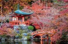 Circuit Les points forts du Japon