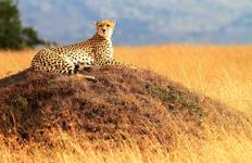 Kenya & Tanzania Adventure Tour