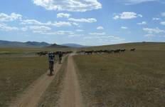 Cycling in Mongolia Tour