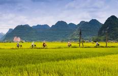 Circuit Cyclisme au Vietnam