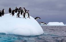 Circuit Antarctic Explorer, exploité par Quark