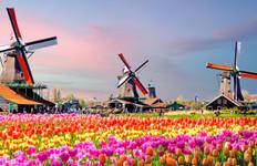 Circuit Les points forts du Rhin, les moulins à vent, les tulipes et les délices de la Belgique 2027 - 15 jours (from Bâle to Amsterdam)