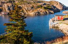 Newfoundland Circumnavigation - M/V Ocean Albatros Tour
