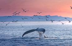 Ultimate Voyage: Greenland & Canada\'s Hudson Bay Tour