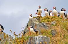 Grand Voyage: Northern Europe & the Arctic Circle Tour