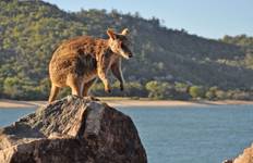 Australia’s East Coast & the Great Barrier Reef Tour