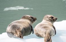 Eastern Canada, Rockies Explorer and Alaska Cruise Toronto → Vancouver (2026) Tour