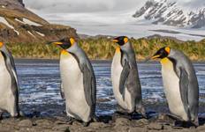 Antarctica, South Georgia, Argentina & Brazil - Cruise & Land Journey 2028 Tour