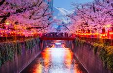 Discover Iconic Cities and Hidden Gems: Tokyo to Osaka Tour