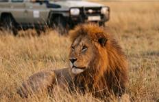 Safari, The Seychelles and Indian Ocean 2028-2029 Tour