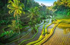 Hidden Paradise of Indonesia 2028 Tour