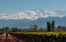 Circuit Mendoza : les meilleurs vins des Andes