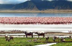 Circuit Kenya et Tanzanie, le volet