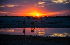 Circuit L'Afrique australe dans son ensemble : Camps de brousse et observation de la faune