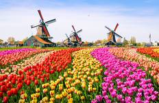 The Rhine & Moselle: Canals, Vineyards & Castles with 2 nights in Amsterdam 2028 Tour