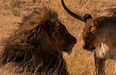 Vic Falls to Kruger (from Victoria Falls to Johannesburg) Tour
