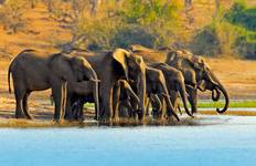 Circuit L'expérience de l'Okavango