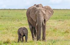 Circuit Safari au Kenya