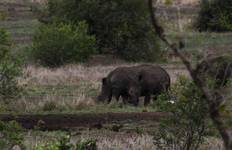 Circuit Kruger et côte