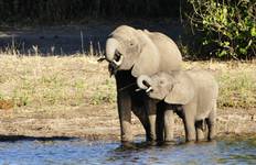 The Grand Southern Safari (23 destinations) Tour