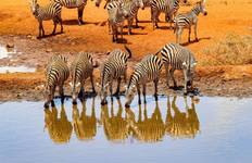 11-day Zanzibar to Serengeti (Camping) Tour