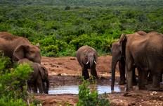 Circuit 14 jours de Kruger au Delta, Chobe et Victoria Falls - avec hébergement