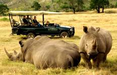 Circuit Route des jardins + Safari au départ du Cap - 3 jours