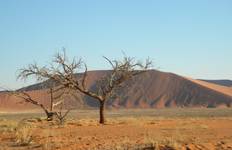 Southern Africa Northbound: Dunes, Deltas & Falls Tour