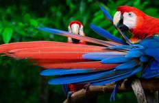 Circuit Expérience familiale au Pérou