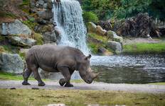 Tansania Camping-Safari Reise