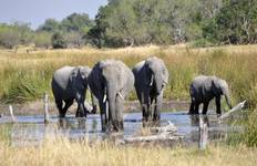 Circuit Delta et; Falls Discoverer