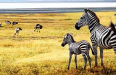 Tansania: Die Serengeti & darüber hinaus Reise