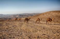 Circuit Voyage en Terre Sainte avec la Jordanie - Voyages confessionnels
