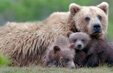 Alaska & the Yukon Tour