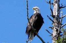 Circuit Explorer l'île de Vancouver