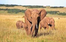 Botswana Safari Tour
