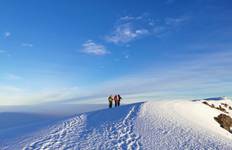 Circuit Ascension du Kilimandjaro par la route de Rongai 7 jours*Tout l'hébergement et les transferts sont inclus*.