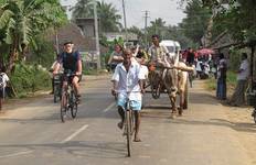 Circuit Trek d'une côte à l'autre de l'Inde méridionale