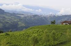 Circuit Café Colombia