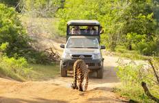 Sri Lanka Real Food Adventure Tour