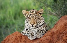 7 Day Taste Of Namibia Accommodated Safari Tour