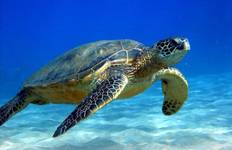 Istanbul & Mittelmeer Gulet-Kreuzfahrt - 5 Tage Reise