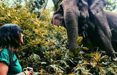 Circuit Tribus des collines du nord de la Thaïlande : Conservation de l'environnement, éducation et Treks à dos d'éléphant