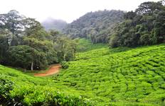 Circuit Colombie Express