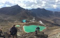 Northern Light from Auckland - Top rated by National Geographic Tour